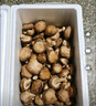 香菇约300g 实拍图