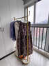 麦瑞迪衣架落地衣帽架卧室多功能挂衣服架置物架结实入户立式简易挂衣架 轻奢金-长60cm 实拍图