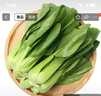 小汤山 油菜 250g 基地直供新鲜蔬菜GAP认证 实拍图