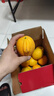 土八鲜江西橙子赣南脐橙新鲜水果赣州脐橙手剥甜橙礼盒 特级净重9-10斤装【单果240-330g】 实拍图
