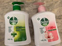 滴露（Dettol）洗手液抑菌滋润450g*2+松木450g*2儿童家庭补充装消毒温和护手 实拍图