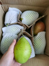 京鲜生 河北酥润香梨 净重3斤 单果120g+ 源头直发 实拍图