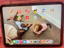 Apple/苹果 iPad11英寸 A16芯片2025年款 平板电脑 (256GB WLAN版/学习办公娱乐)银色 实拍图