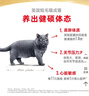 皇家猫粮 英短成猫粮 BS34 通用粮 12月以上 10KG 实拍图