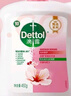滴露（Dettol）洗手液抑菌滋润450g*2+松木450g*2儿童家庭补充装消毒温和护手 实拍图