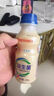 乳酸菌益生菌风味饮料乳酸菌饮品340ml/瓶早餐酸奶好喝 益生菌340ml*1瓶 实拍图