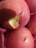 京鲜生 烟台红富士苹果 净重8斤  单果230g起 水果礼盒 实拍图