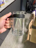 万象（WANXIANG）玻璃杯V219手柄办公杯双层泡茶杯360ML商务办公带滤网水杯 实拍图