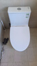 九牧（JOMOO）11176-2-1/31K-1 大力神升级家用马桶虹吸抗菌坐便器305坑距 实拍图