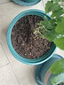 史丹利（STANLEY）有机营养土10L*2园艺有机土通用型种花种菜养花专用土壤种植土 实拍图