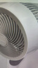 艾美特（AIRMATE）【小暴风】空气循环扇大风量摇头电风扇家用台式落地扇升级加高换气轻音柔风小风扇 FA18-X115 实拍图