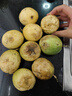 探味君 广西钦蜜9号黄金百香果 新鲜水果白香果酱原浆整箱 生鲜 净重8.5-8.99斤【单果65-80g】 实拍图