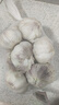 山东金乡蒜大蒜出口标准精选大蒜头蔬菜调料单果5cm 出口标准网兜装箱 455g 5-5.5cm特大 实拍图