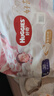 好奇（Huggies）皇家小龙裤拉拉裤L38片(9-14kg)尿不湿【30倍爆吸】 实拍图