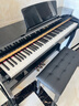 海蒂诗 电钢琴88键重锤电子钢琴儿童初学幼师专业成人家用数码立式钢琴 P-313烤漆黑-蓝牙-全重锤-配琴凳 实拍图