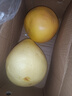 梅州红肉蜜柚白心柚子红柚子新鲜水果碌柚万澄非沙田柚非三红柚 梅州白肉蜜柚 【试吃】蜜柚1粒 净重1.4-1.8斤 实拍图