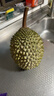 京鲜生马来西亚D197猫山王榴莲冷冻4-4.5斤保4房新鲜水果 实拍图