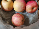 京鲜生 正宗新疆阿克苏苹果 脆甜苹果 4粒装 果径80-85mm 新鲜水果 实拍图