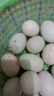 鸭蛋新鲜生鸭蛋60-70g土鸭蛋农家散养青皮白皮生鲜食品超市批发 20枚 实拍图