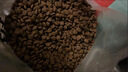 麦富迪狗粮 藻趣儿狗粮成犬粮牛肉螺旋藻 均衡营养15kg/30斤 实拍图
