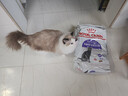 皇家绝育成猫粮 SA37通用粮 1-7岁10KG 实拍图