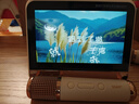 索爱（soaiy）GC520Pro 悬浮歌词蓝牙K歌音箱无线话筒麦克风一体式儿童户外家庭用ktv男女唱歌生日礼物 白 实拍图