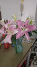 悦多彩AB级优质香水百合 家庭办公室各色生活鲜花 昆明基地 现采直发 随机单色百合10朵（双头5枝） 实拍图