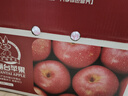 京鲜生 陕西洛川红富士苹果 净重5斤 单果75-80mm 源头直发  实拍图
