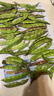 京鲜生山东新鲜油豆角1.8斤装新鲜蔬菜源头直发包邮 实拍图