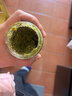 lasicilia意大利进口传统罗勒青酱190g 意粉意面酱 面包坚果蘸酱西餐调味酱 实拍图