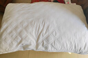 洁丽雅（Grace）纤维枕 星级酒店枕头枕芯 46*72cm 一对装（2只装） 实拍图