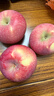 京鲜生 陕西洛川红富士苹果 净重8斤 单果200g 生鲜水果 实拍图