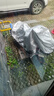 智国者电动车车衣车罩摩托车防晒尘隔热防雨雪罩防尘电瓶自行车雨衣加厚 实拍图