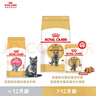 皇家猫粮 英短成猫粮 BS34 通用粮 12月以上 2KG 实拍图