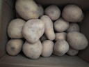 京鲜生恩施小土豆3斤 单果约30-140g新鲜黄心土豆马铃薯 源头直发 实拍图