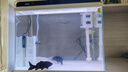 森森 小鲤鱼缸过滤器净水循环三合一内置水族箱过滤系统XQP-500F 6W 实拍图