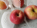 京鲜生 山东栖霞红富士苹果精品12粒 单果190g-240g  水果礼盒 实拍图