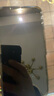 亿色适用苹果11/XR钢化膜iPhone 11/XR手机膜高清全屏全覆盖防摔防指纹钻石玻璃软边手机前保护贴膜 实拍图