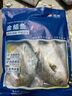 翔泰 海南金鲳鱼净重900g 2条装  鱼类生鲜 火锅食材 海鲜水产  实拍图