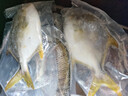 翔泰海南深海金鲳鱼700g 2条 火锅 生鲜鱼类 BAP认证 海鲜水产  实拍图