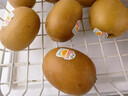 佳沛（zespri）新西兰 阳光金奇异果12粒礼盒特大果单果约122-146g 猕猴桃 水果 实拍图