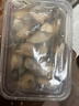 一虾一世界鲜活现剥去壳大号生蚝肉250g/盒 新鲜速冻牡蛎肉海蛎子火锅烧烤 3斤装【250g*6盒】固形物80% 实拍图