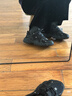 FILA斐乐猫爪鞋女鞋老爹鞋休闲鞋女休闲复古厚底运动鞋 猫爪四代-黑BK 36.5 实拍图