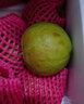 京鲜生 红心珍珠芭乐 番石榴 净重3斤 单果150g+ 生鲜水果礼盒 实拍图