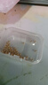 洲足金999金珠黄金小金珠金豆古法金珠DIY配件散珠隔珠路路通转运珠 3mm金珠  合单满 0.16g 包邮 多颗混发约1g 实拍图