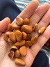 林谷森园 开口松子 大颗粒净重500g 坚果休闲零食手剥东北红松子散装 750超大颗粒一斤净重500克 实拍图