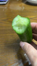 山东寿光水果黄瓜生吃脆新鲜荷兰青瓜当季无刺小黄瓜源头直发 精品水果黄瓜净重 4.5斤 实拍图