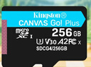 金士顿（Kingston）256GB TF（MicroSD）存储卡 内存卡U3 V30 A2 4K适配大疆Pocket 3/Action 5/无人机/运动相机/监控 实拍图
