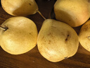 京地达烟台太婆梨软梨净重5斤单果130g新鲜香蕉大头啤酒梨 源头直发包邮 实拍图