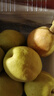 京鲜生 新疆库尔勒香梨 净重5斤 一级 单果100g-120g  生鲜水果 实拍图